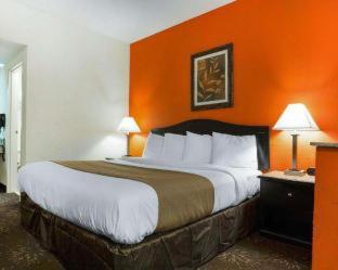 Quality Inn & Suites near Six Flags - Austell - Austell - 3