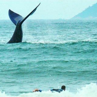 Pousada Toca da Lagoa - 7