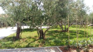 Family Holiday Home - Turanj - 3