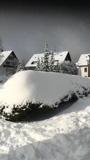 Appartement an der Erlebniskappe mit Fahrradkeller - Winterberg - 7