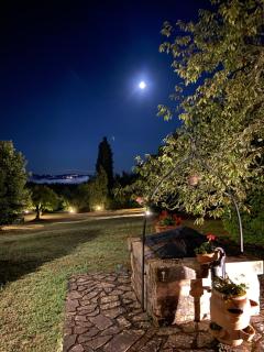 Agriturismo Spazzavento - Palazzone - 8