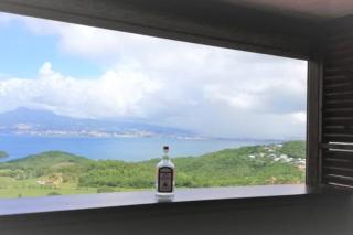 Bleu topaze - vue imprenable - Les Anses d'Arlet - 9