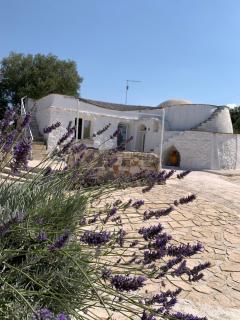 Trullo Palummieddu - Ostuni - 2