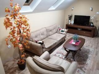 Apartmani Milošević - Ivanjica - 7