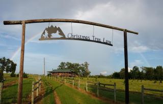 Rural life on a real Christmas tree farm! Hallmark experience! - Ozark - 0