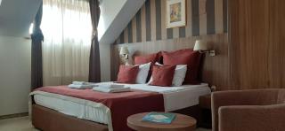 Hotel Gott - Braşov - 1