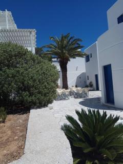 Nicos Studios & Apartments - Logaras - 1