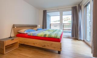 Ski In Ski Out Apartment Fastenberg Top 2 by AA Holiday Homes - Schladming - 5