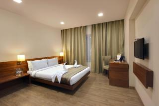 Temple Tree Hotel Shirdi - Shirdi - 4