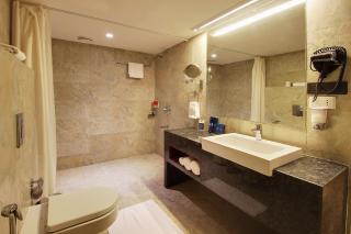 Temple Tree Hotel Shirdi - Shirdi - 6
