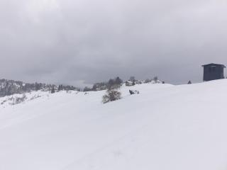 Le Cappellette - Moggio - 6