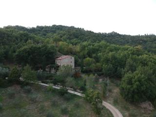 Podere Piandicava - Castelnuovo di Val di Cecina - 9