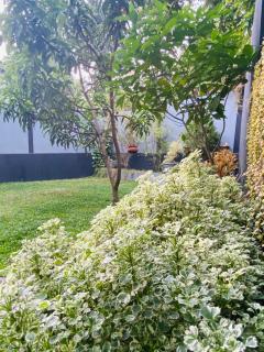 Sun White Villa - Hikkaduwa - 1