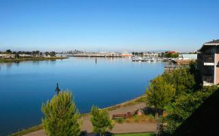 Executive Inn & Suites Oakland - Oakland - 9