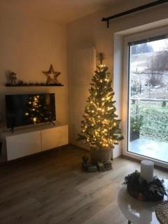 Apartmány Trio Krkonoše - Horní Maršov - 5