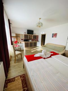 Casa Elena - Sibiu - 6