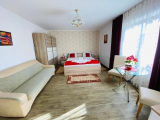Casa Elena - Sibiu - 8