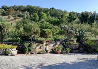 Casetta Costabile - Castellabate - 3