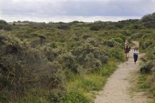 Vakantiehuisje De Panne vlak aan Plopsaland en de zee - 8