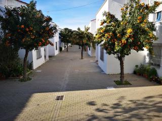 Habitación doble en un apartamento en Conil de la Frontera - Conil de la Frontera - 5