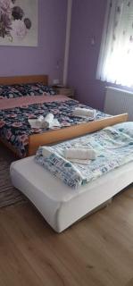 APARTMANI KSENIJA - 8