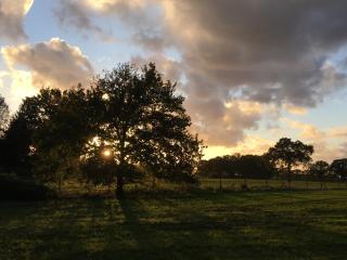 Vakantiewoning Pelterheggen - 8