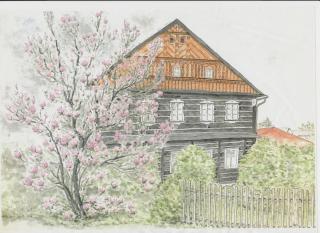 Rodinný penzion Dřevěnka-Kulturni Pamatka - Bozkovska - 5