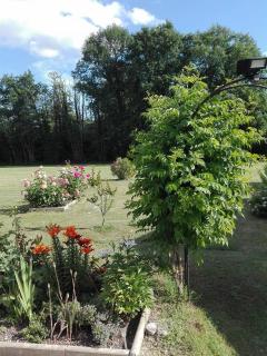 La Doucinière - - 6
