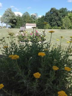 La Doucinière - - 2