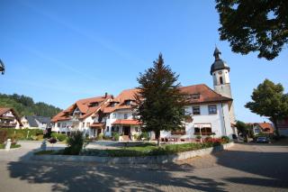 Hotel-Restaurant Hirsch - Berghaupten - 6