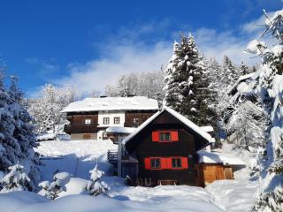 Chalet Verdino - Bad Kleinkirchheim - 6