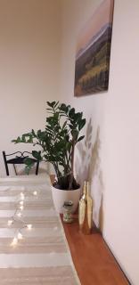 Diána Apartmanház - Keszthely - 3