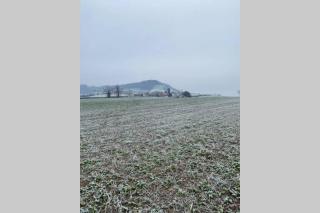 Prospect Perch - Studio Apartment, Wells - Wells - 7