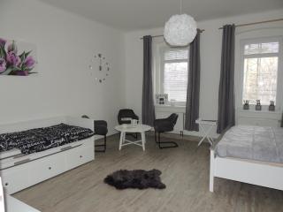 Černý Tulipán - Apartmán 4 - 2