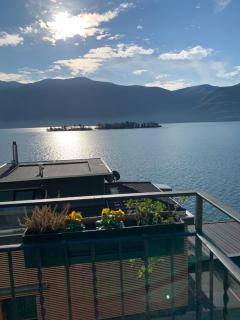 Appartamenti Ramarro - Ronco sopra Ascona - 9
