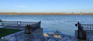 Vila Orešac - Smederevo - 7