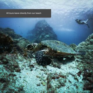 The Jaguars Jungle Rainforest Lodge - All meals included - 3