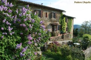 Podere L'Aquila - Gaiole in Chianti - 6