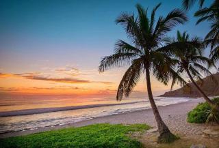 Villa Créole Alamanda - 8