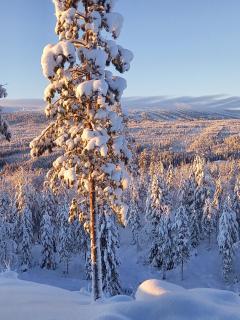Mysig lägenhet med fjällutsikt i Sälen - Sälen - 7
