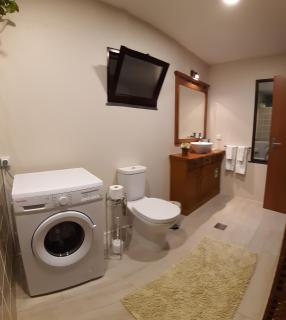 Casa Velha D Fernando e Casa Avó Augusta - Ribeira Brava - 8