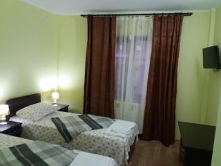 PENSIUNEA CIREȘUL ALB - Tulcea - 1
