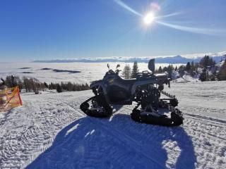 Chalet Petit - 1
