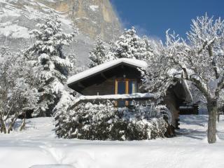 Chalets du Vieux Frêne - Saint-Hilaire - 3
