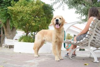 Ruca Hue - Puerto Madryn - 7