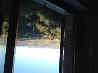 Villa Santa Maria - Montalcino - 6