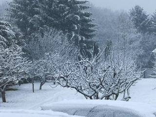 Holiday Home Dragon - Visoko - 3