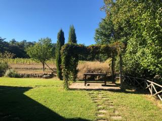 podere campanella - Viterbo - 3