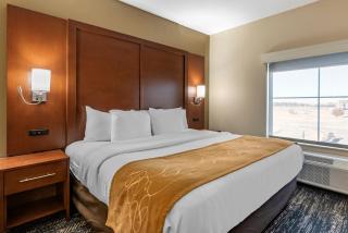Comfort Suites West Memphis I-40 I-55 - 6