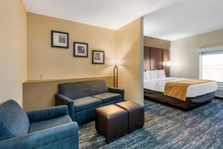 Comfort Suites West Memphis I-40 I-55 - West Memphis - 8